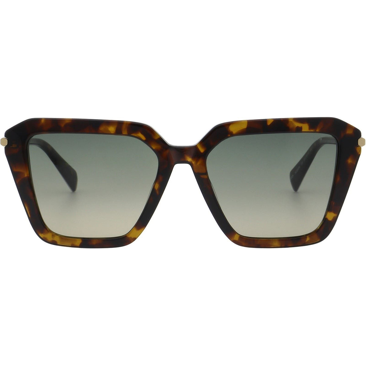 All Saints Gwen Women's Sunglasses