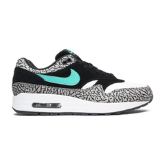 Jordan 3 Retro & Nike Air Max 1 atmos Pack